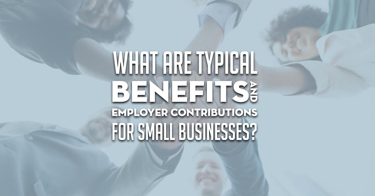 What are typical benefits and employer contributions for small businesses